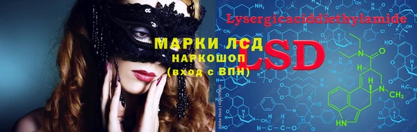 твердый Краснослободск