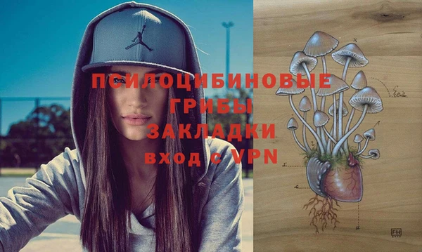 амф Алзамай