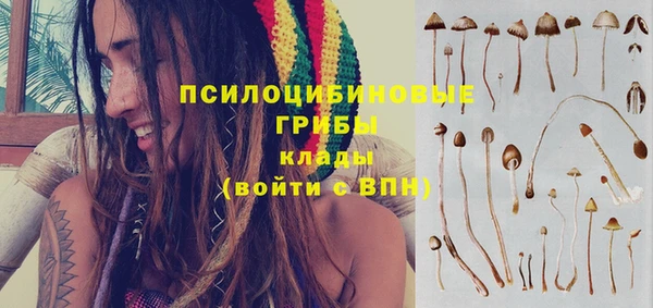 амф Алзамай